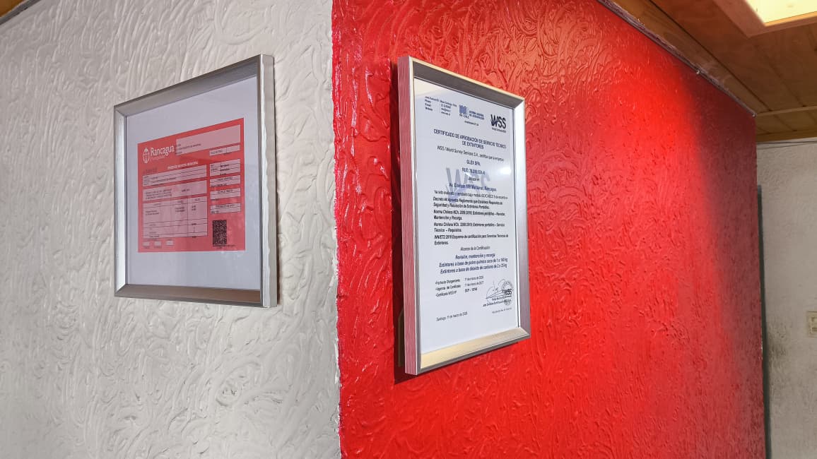 Certificados en pared Glex